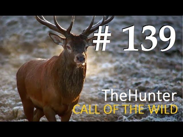 Мир охоты theHunter Call of the Wild # 139