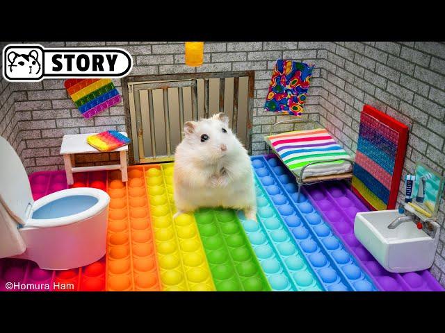  Hamster Escapes the Pop It Maze for Pets in real life  Homura Ham