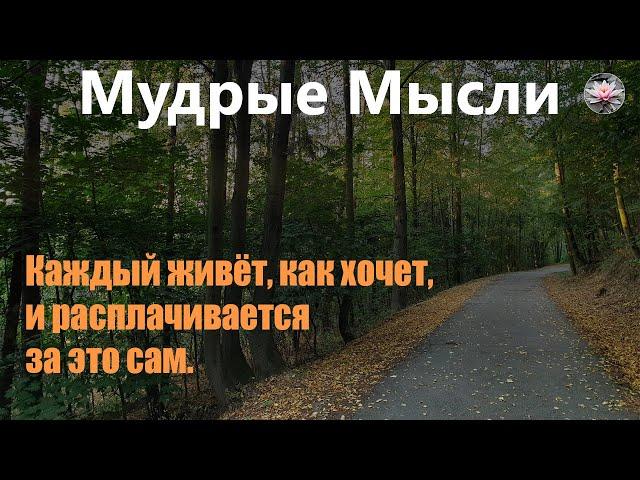 Интересные Цитаты И Афоризмы Про Жизнь | Самые Лучшие Фразы