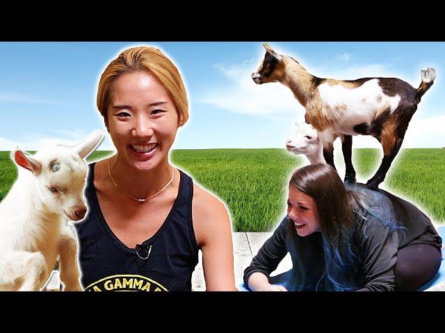 Animal Lovers Get Surprised By Goat Yoga