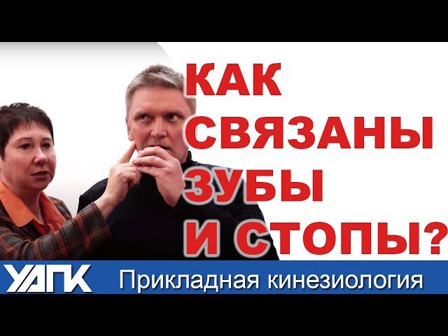 СТОПА и челюсть. Какая связь? проф.Васильева поясняет