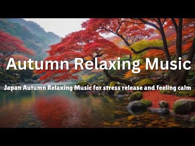 リラックス Best Japan Relaxing Music, Relaxing Music for Studying, Best BGM Piano Music, Zen Music 