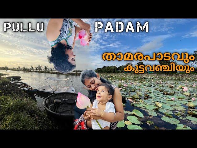 Pullu Padam Thrissur | Lotus garden | Tourist spot in Thrissur |