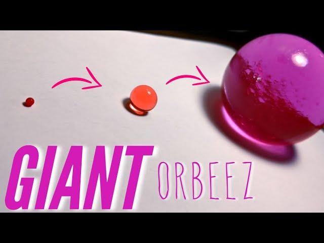 GIANT orbeez // Timelapse // Unboxing