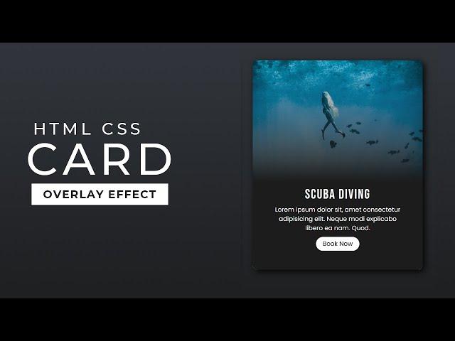 Responsive CSS Cards with Hover Overlay Animation