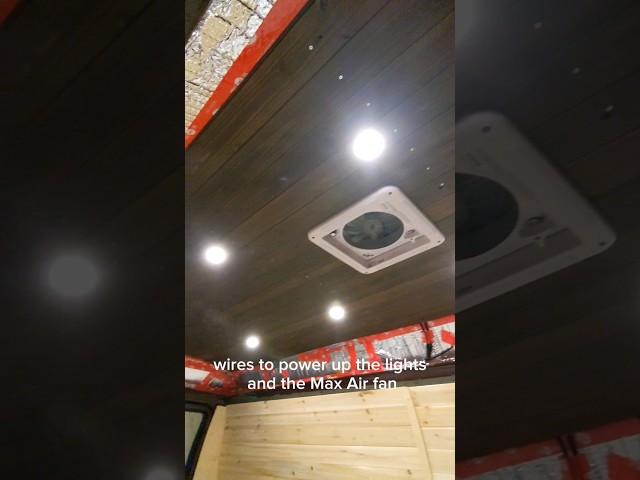 camper van conversion: installing the ceiling! #vanlife #campervan #vanconversion