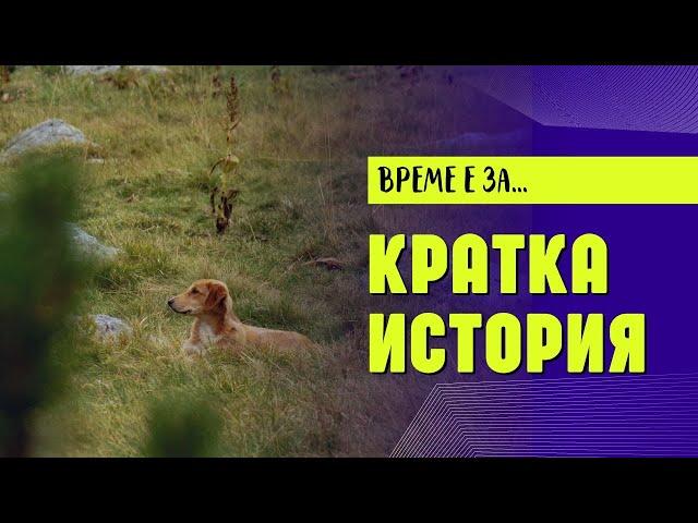 16 СЕПТЕМВРИ Поучителната история за кучето Караманчо