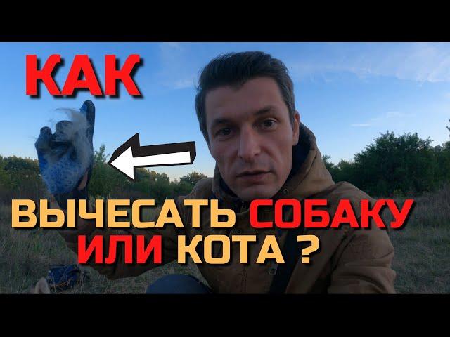 HOW and WHAT to comb out the DOG We comb out the HUSKY mixture MALAMUT