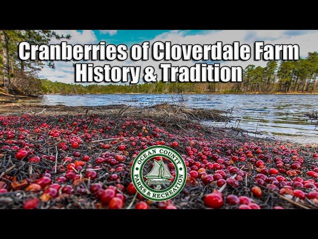 Cranberries: Ocean County History & Tradition