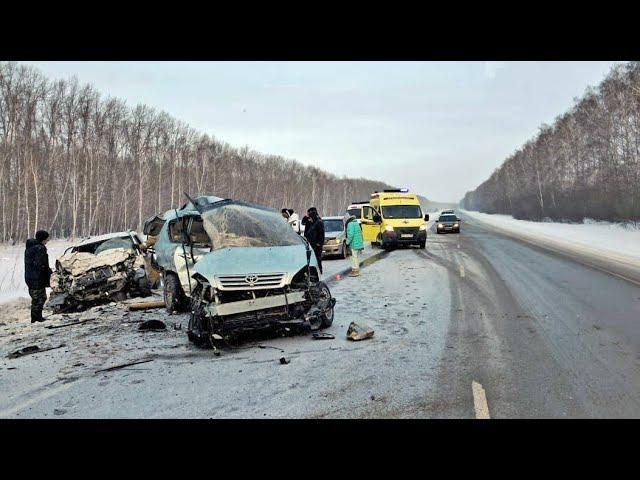 Автоледи на Тойоте погубила троих человек устроив страшное ДТП в Новосибирской области