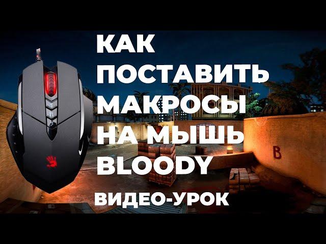 Как установить макросы на мышку Bloody (Видео-урок)