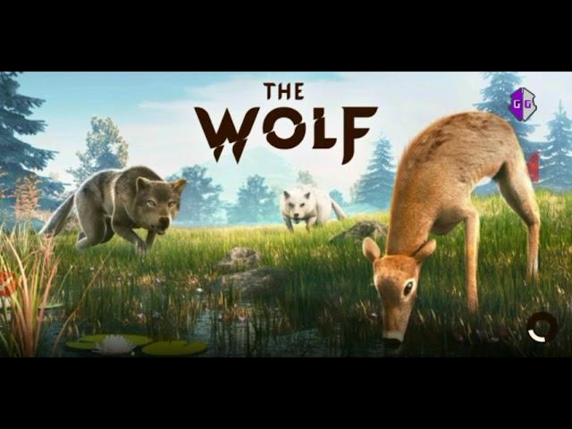 | The Wolf | бессмертие с GG "ОБЗОР"