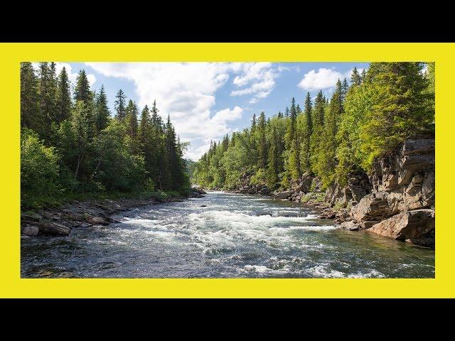 Water Stream Sound | Relaxing River Sound For Sleep