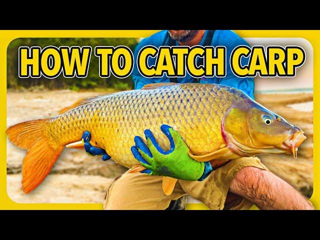 How to catch carp, CHEAP and SIMPLE carp fishing tips