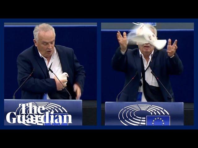 Confusion after MEP releases 'peace dove' from bag in European parliament