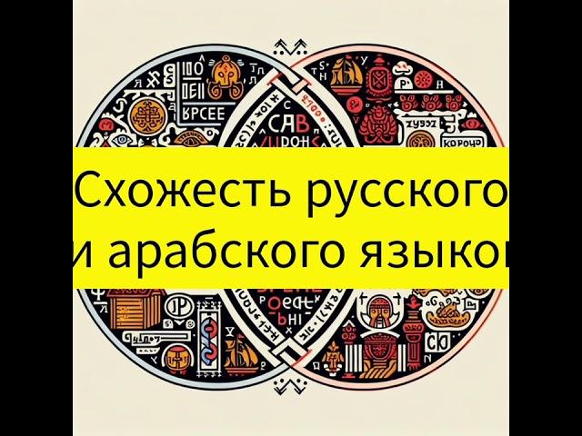 Схожие русские и арабские слова