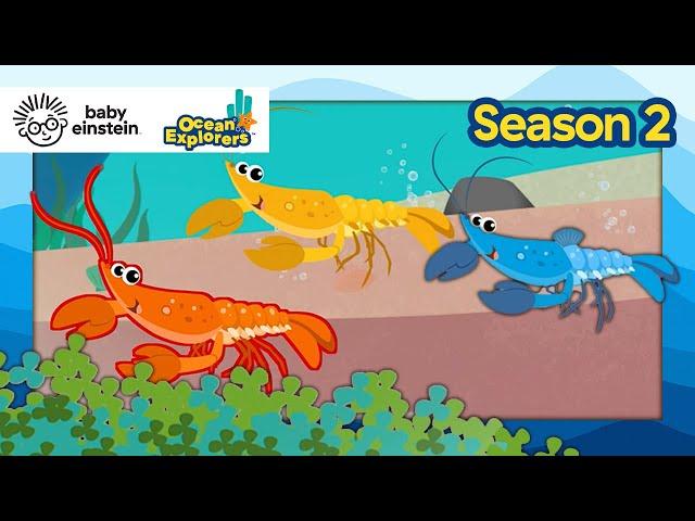 Let's Explore: Pairs with Lobsters! | Ocean Explorers Season 2 | Baby Einstein | Education Show