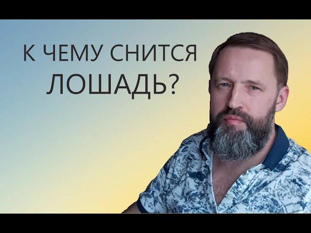 ЛОШАДЬ. К чему снится ЛОШАДЬ/ КОНИ.