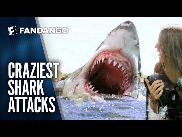 Best Shark Attack Movie Mashup | Movieclips