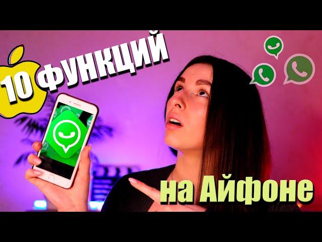 10 полезных функций WhatsApp на Айфоне, о которых мало кто знает