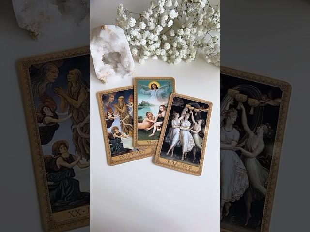 Новый мужчина новая встреча #тароонлайн #tarotreading #таро #гадание