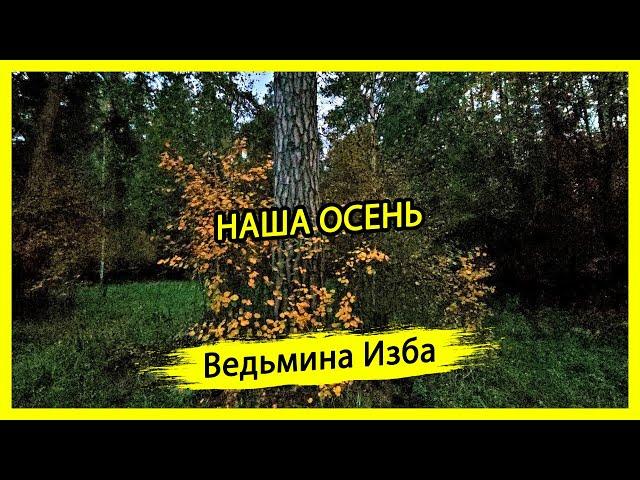 НАША ОСЕНЬ. #ВЕДЬМИНАИЗБА ▶️ #МАГИЯ