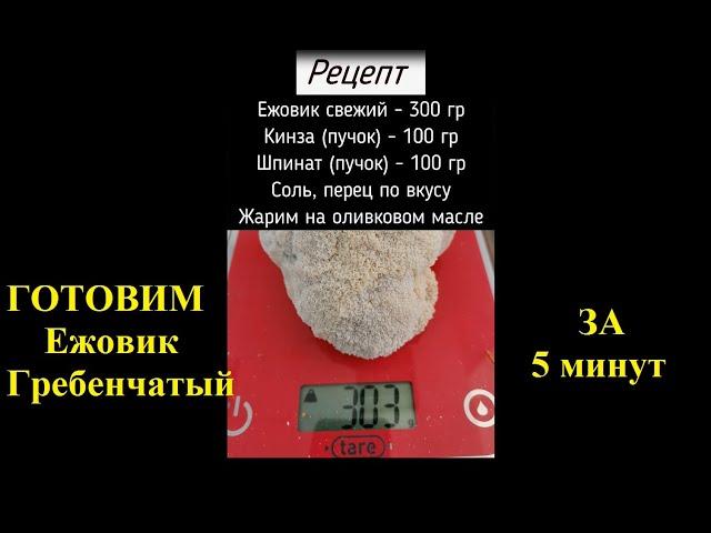 Готовим вкуснейший ежовик гребенчатый с зеленью