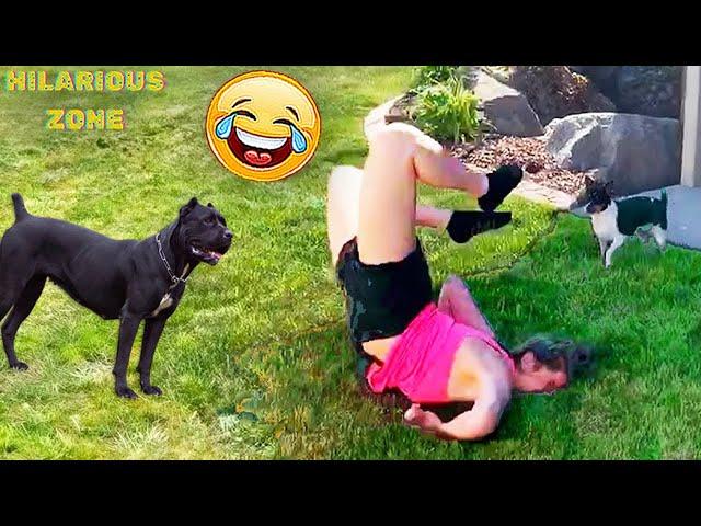 Funny & Hilarious People Life  #102 | TRY NOT TO LAUGH  | Instant Regret Fails Compilation 2024