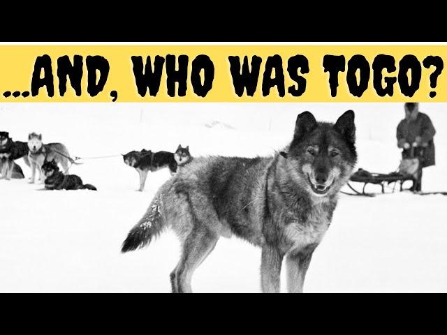 And, who was TOGO, the sled dog, in real life?