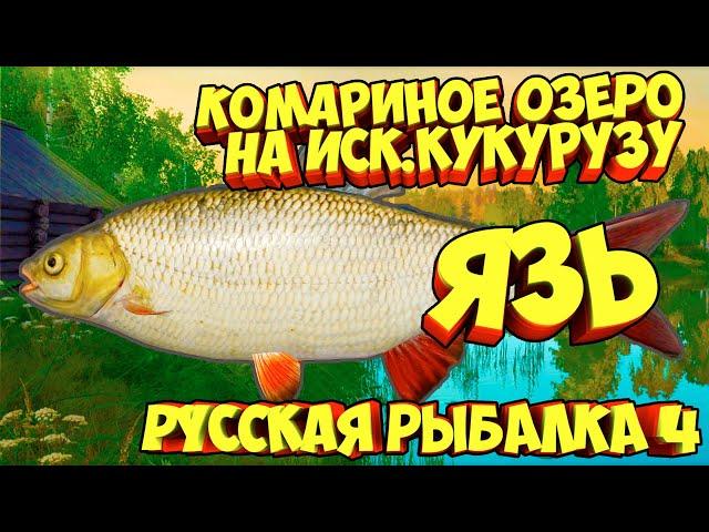 русская рыбалка 4 - Язь озеро Комариное - рр4 фарм Алексей Майоров russian fishing 4