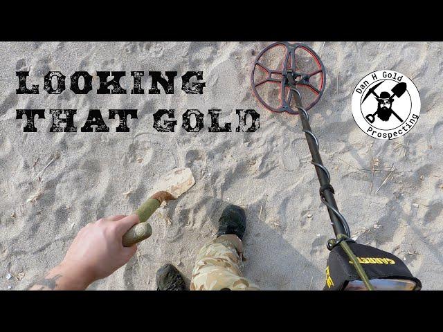 UK Beach Metal Detecting with Garrett/ACE 250 /Nel Tornado