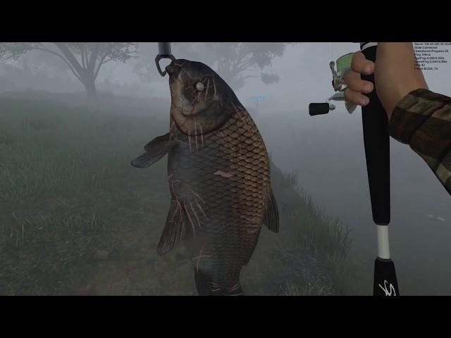 FishingPlanet# Малоротый Буффало Бешеный Глаз