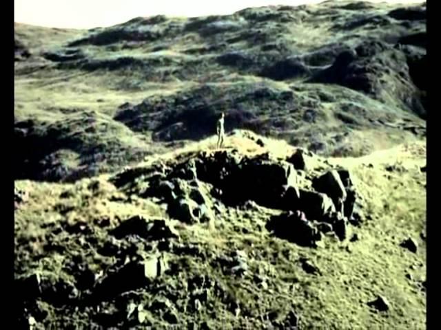 Фильм Чистокровный (лучший трейлер 2011).wmv