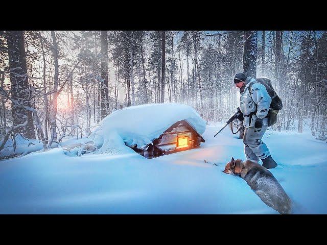 НАШЁЛ ИЗБУ В БОЛОТЕ И ОБАЛДЕЛ. ПОИСК ТАЁЖНОЙ ИЗБУШКИ. ПОХОД В ДИКИЙ ЛЕС СЕВЕРА. ИЗБА НА БОЛОТЕ.