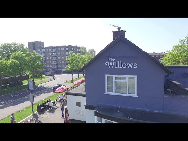 The Willows 2