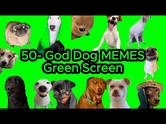 DOG MEMES GREEN SCREEN