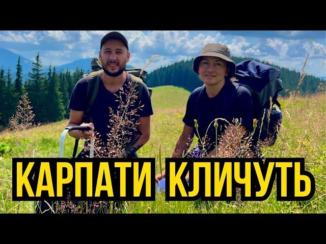 Грибні Стежки Рідних Карпат! Гірські Походеньки