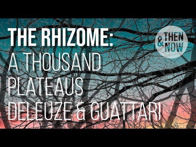 The Rhizome - A Thousand Plateaus, Deleuze and Guattari