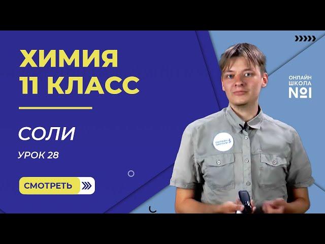 Урок 28. Соли. Химия 11 класс