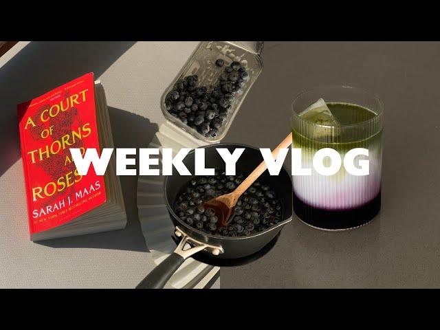 WEEKLY VLOG | Making Blueberry Syrup & Book Update