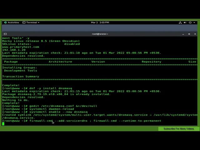 Setup Quick DNS Server On Rocky Linux 8.5 Using Dnsmasq