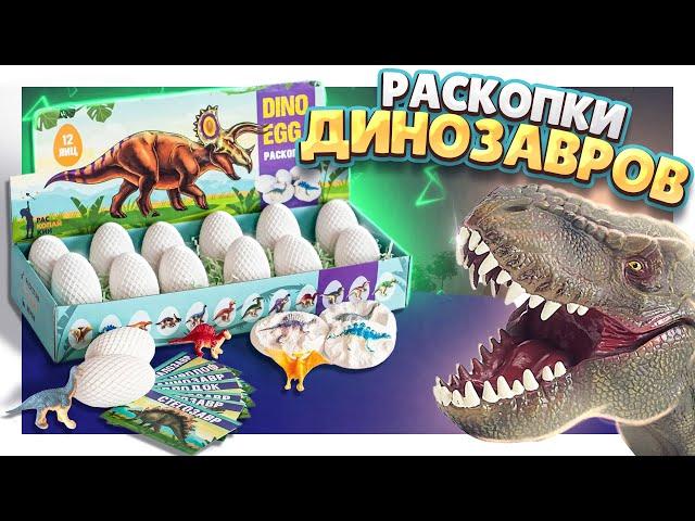 DINO EGG ! Яйца с динозаврами, раскопка. Обзор серии и игрушки . #динозавры #распаковка #яйца #обзор