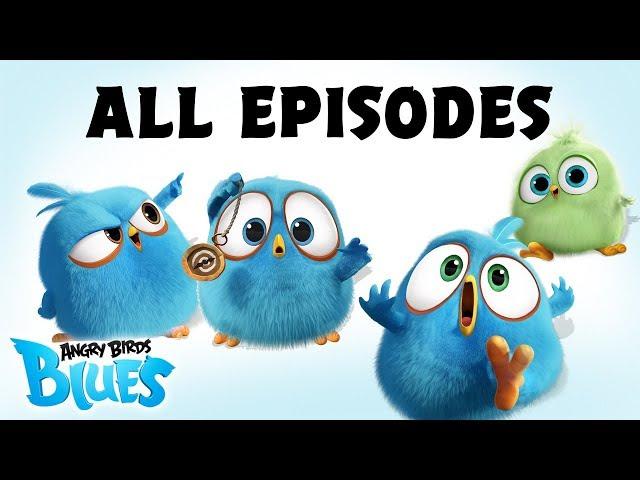 Angry Birds Blues | All Episodes Mashup - Special Compilation