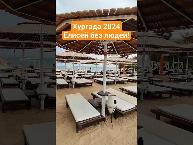 Elysees без людей - Отель, где АКУЛА СЪЕЛА ЧЕЛОВЕКА! ХУРГАДА 2025.#египет2025