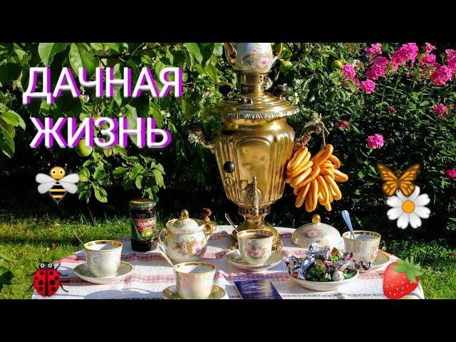 Дачный вопрос Мамины #Пироги