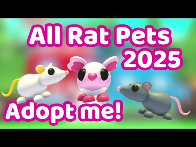 Every Rat in Adopt me 2025