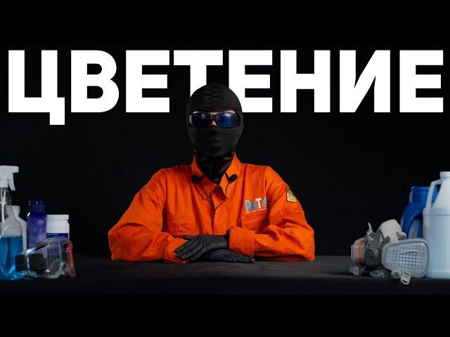 Цветение | 14 серия