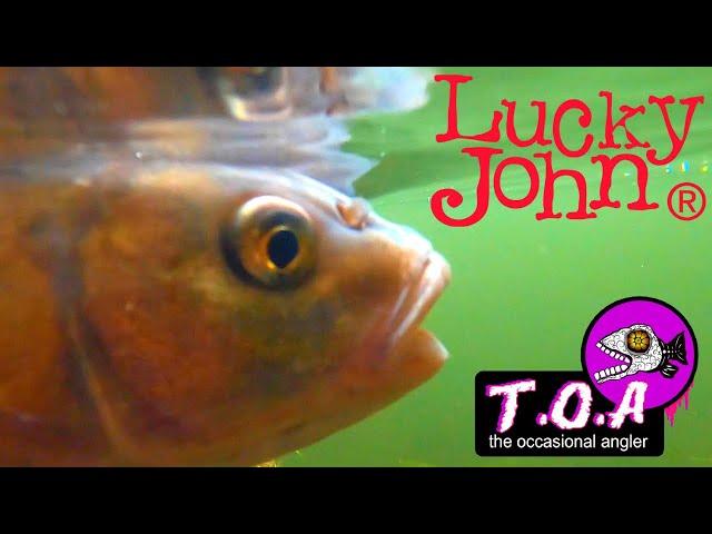 BFS CHUB LURE FISHING LUCKY JOHN