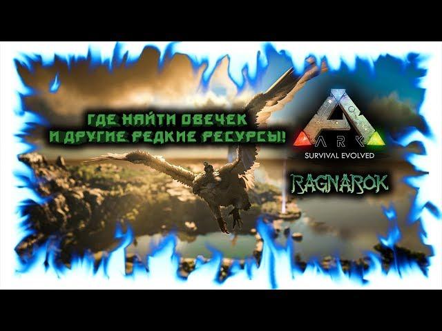 Ark: Ragnarok! Где найти овечек и другие редкие ресурсы!