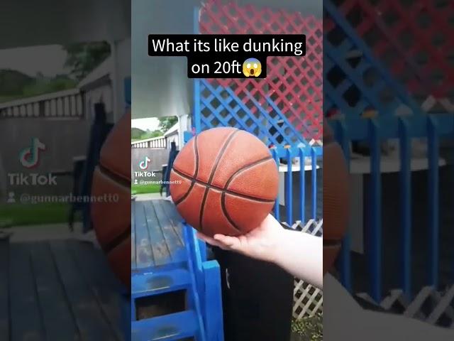 what it's like dunking on 20ft #basketball #shorts